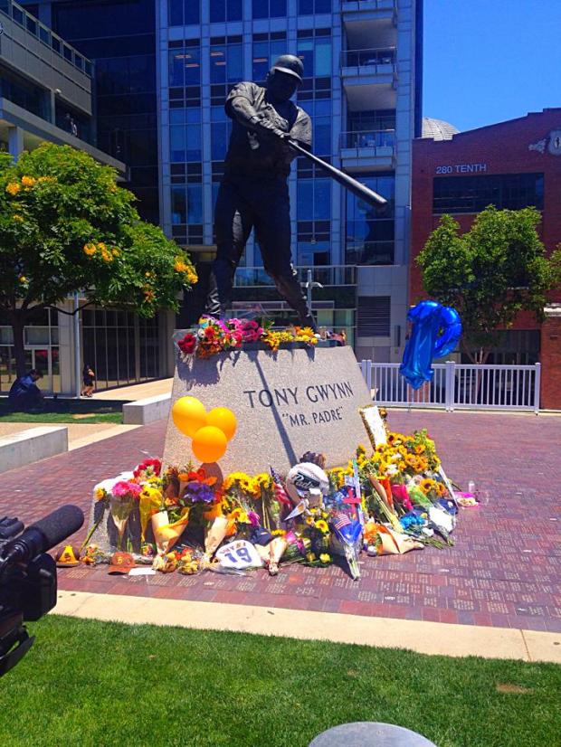 Mandatory Photo Credit: David Frerker 