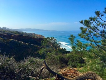 View from GUY FLEMING TRAIL in the Torrey Pines State Natural Reserve. Mandatory Photo Credit David Frerker