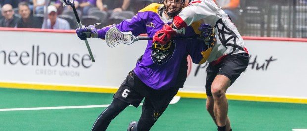 sandiegoseals01182019-235