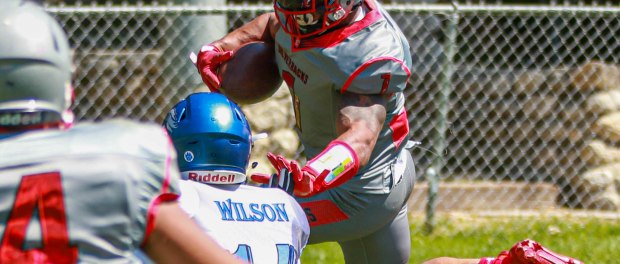 silverbacks_lions_water_67